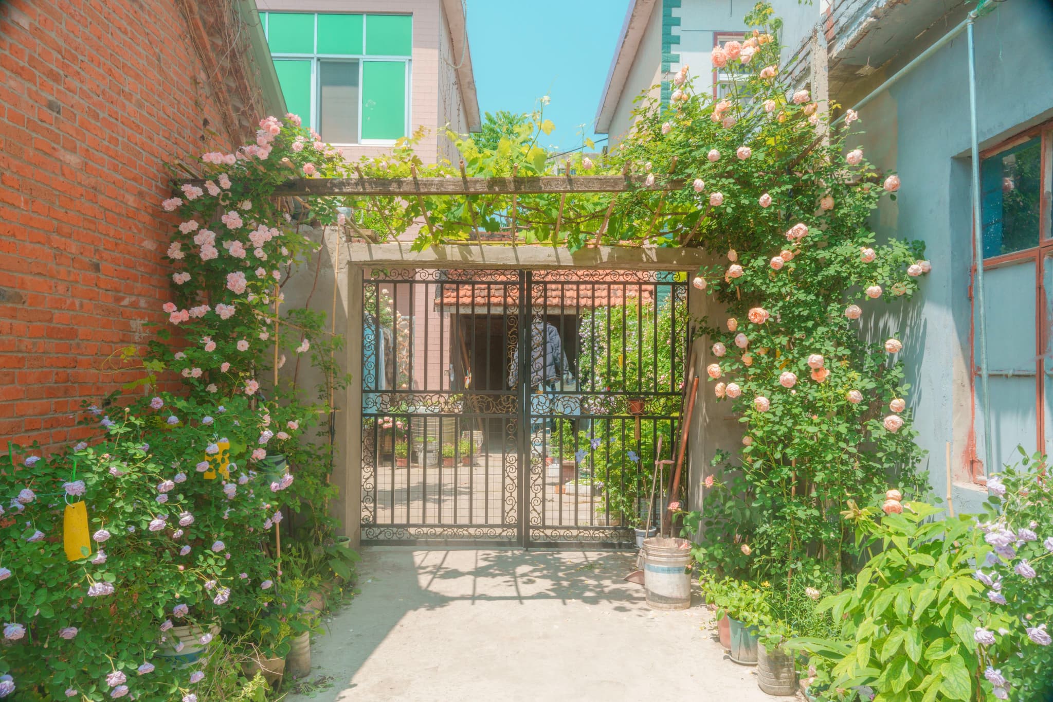 小院